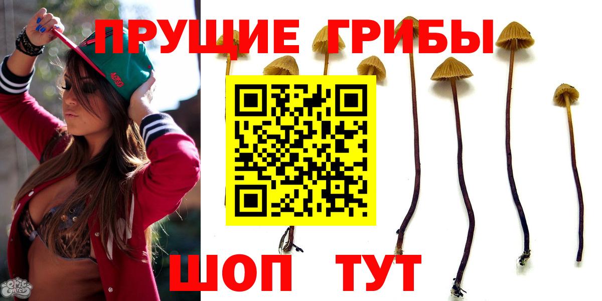 Псилоцибиновые грибы Psilocybine cubensis  Галлюциногенные грибы Psilocybe  где найти наркотики  Волгоград  Вход с VPN 