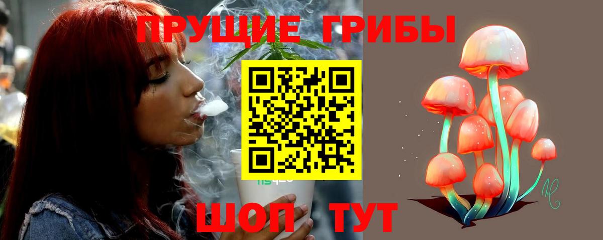 Псилоцибиновые грибы ЛСД Волгоград